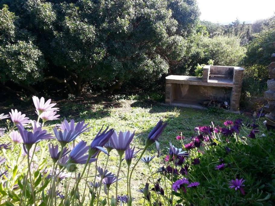 L' Elicriso, A Pochi Passi Dal Mare Con Giardino Privato - The Elicriso, A Few Meters From The Sea, With Private Garden Appartement Stintino Buitenkant foto