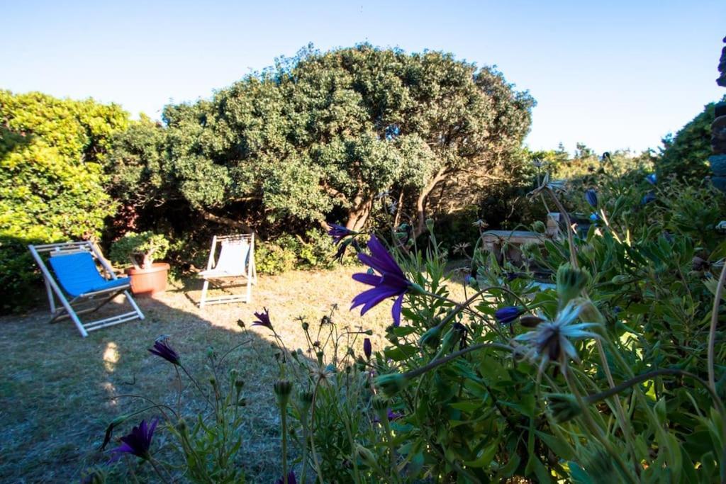 L' Elicriso, A Pochi Passi Dal Mare Con Giardino Privato - The Elicriso, A Few Meters From The Sea, With Private Garden Appartement Stintino Buitenkant foto