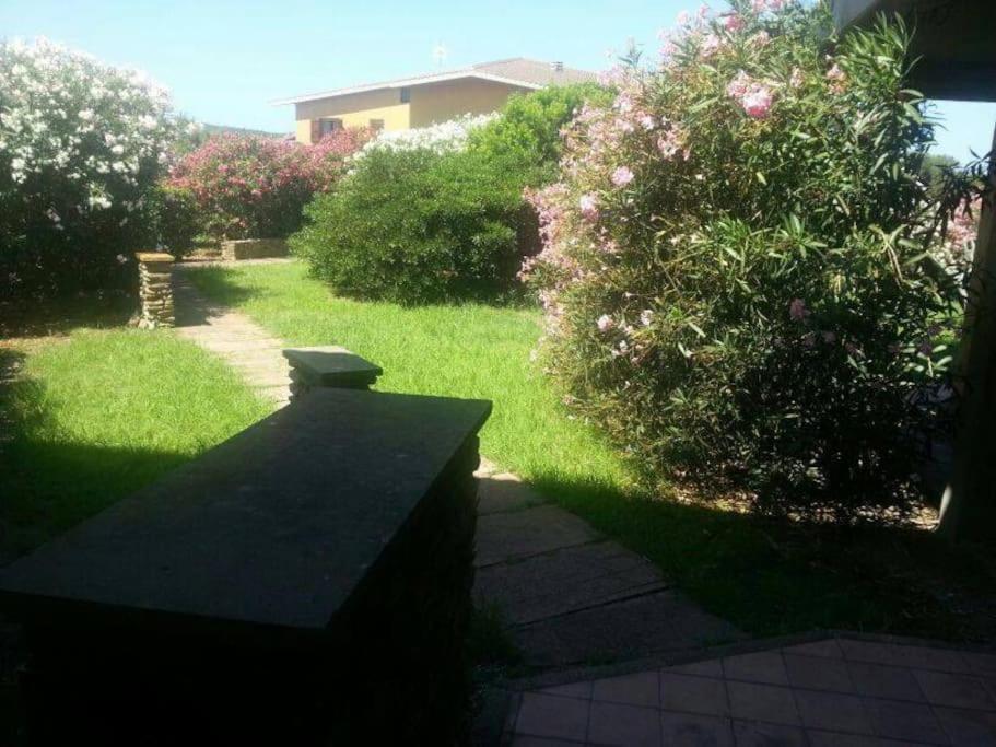 L' Elicriso, A Pochi Passi Dal Mare Con Giardino Privato - The Elicriso, A Few Meters From The Sea, With Private Garden Appartement Stintino Buitenkant foto
