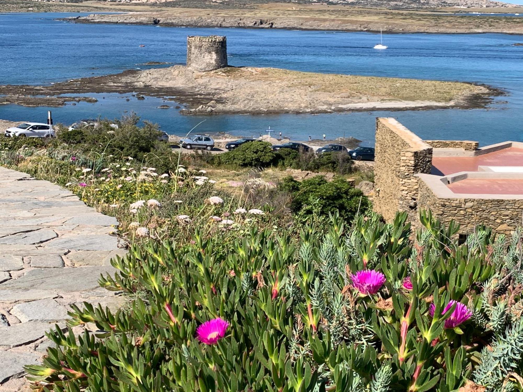L' Elicriso, A Pochi Passi Dal Mare Con Giardino Privato - The Elicriso, A Few Meters From The Sea, With Private Garden Appartement Stintino Buitenkant foto